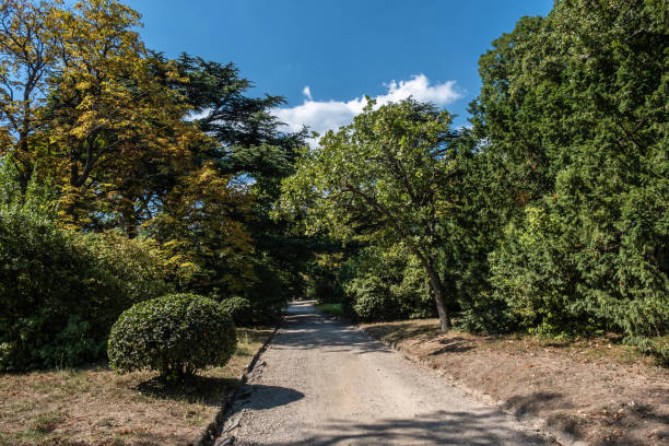 istock Direct dirt road in the Vorontsov park in early autumn, Crimea. 1179324712
