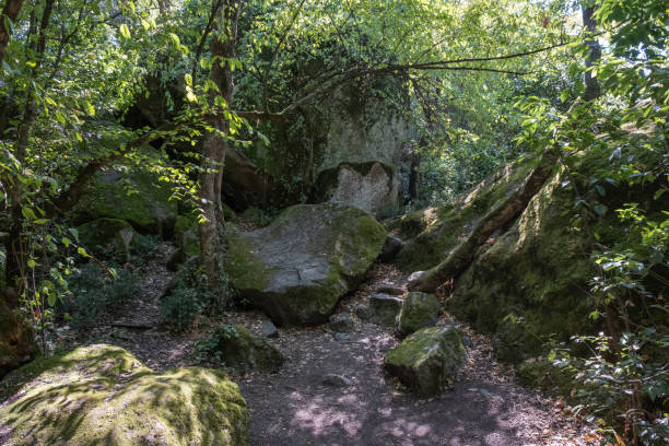 istock Romantic corner in the Vorontsov park Small chaos with huge stones, Crimea. 1179324815