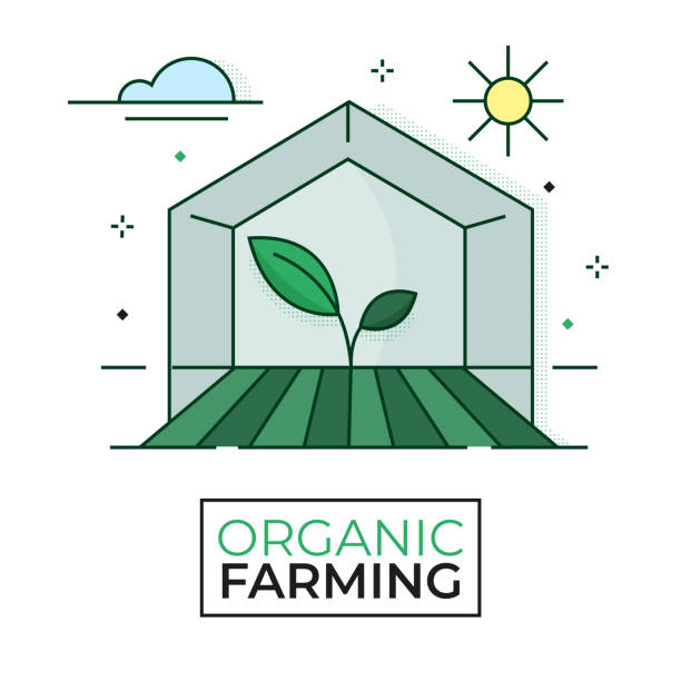 ilustraciones, imágenes clip art, dibujos animados e iconos de stock de icono de invernadero - agricultura orgánica - trazo editable - greenhouse