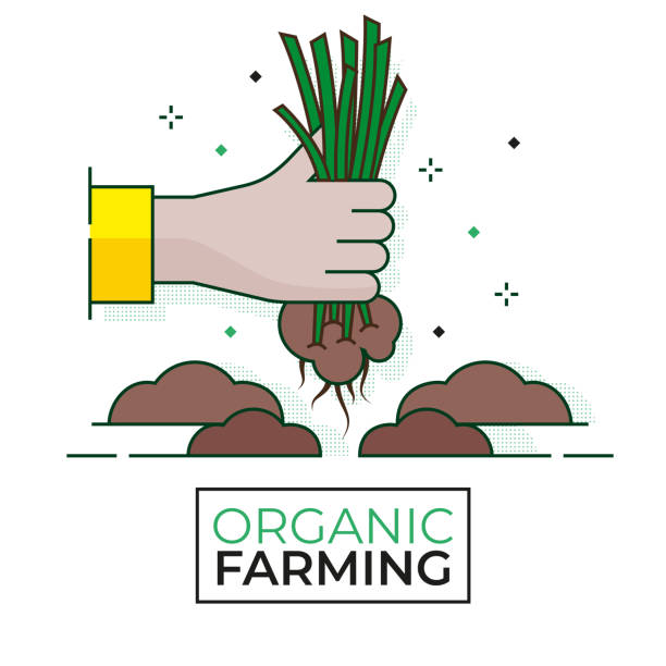 Organic weeding icon -  Organic Farming - Editable stroke Organic weeding icon -  Organic Farming - Editable stroke community garden sign stock illustrations