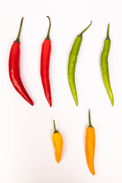 istock chili collage isolated on a white background 1179328617