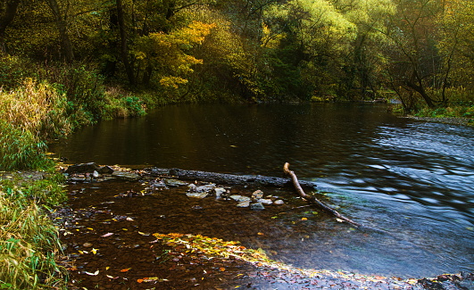 The image of trees and sky is reflected on the surface of the lake