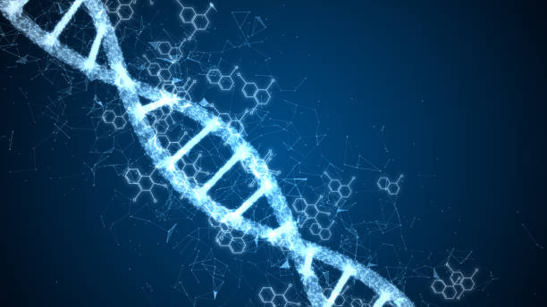 Abstract of digital DNA construction. Science animation. Conceptual design of genetics information. Abstract of digital DNA construction. Science animation. Conceptual design of genetics information. digital animation stock pictures, royalty-free photos & images