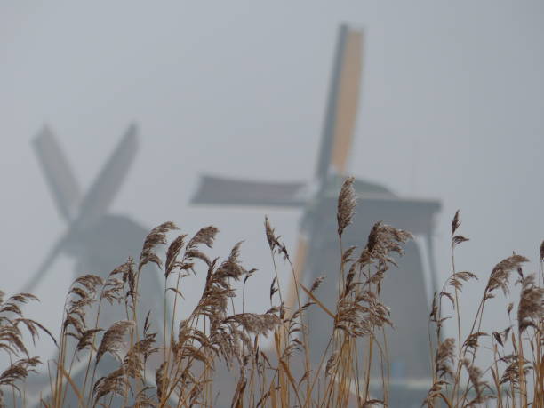 歴史的な風車のある風景。ザンセ・シャンズ、ザンダム、オランダ。 - netherlands windmill farm farmhouse ストックフォトと画像