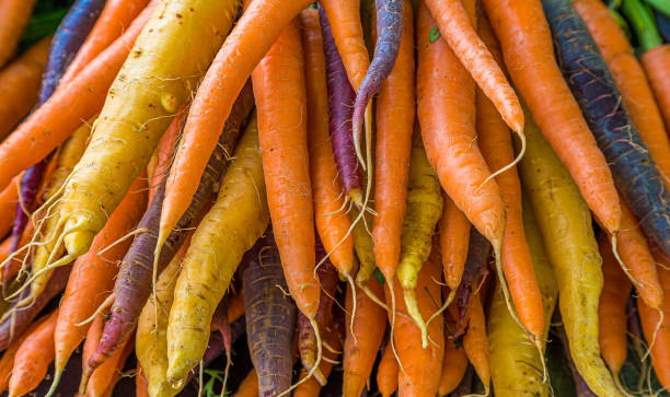 istock Tips of Many Carrots 1179339376