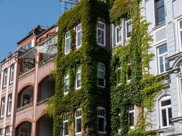 istock Facade of an old building in Kiel, Germany 1179343112