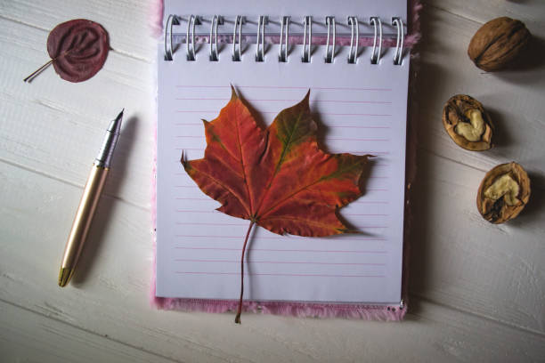 istock An opened notebook and pen on a desktop with decoration by fallen leaves. Atmospheric autumn background with copy space. 1179346406