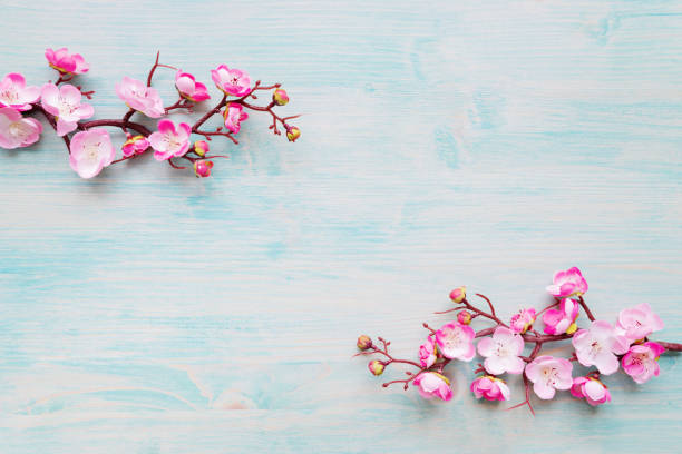 istock Pink flowers on blue wooden background 1179346602