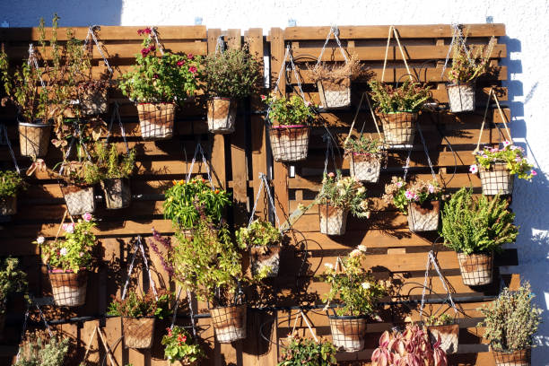 istock Homegrown and aromatic herbs in old pots at a wall 1179347527