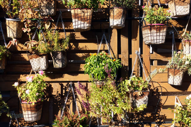 istock Homegrown and aromatic herbs in old pots at a wall 1179347655