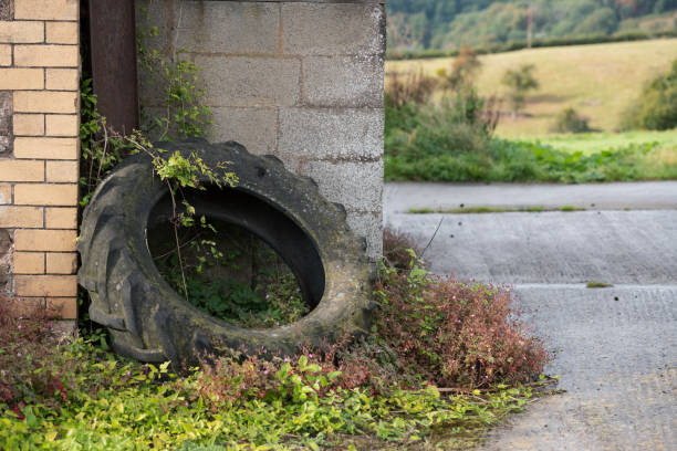 istock Old Overgrown Tractor Tyre Leant Against Wall 1179348616