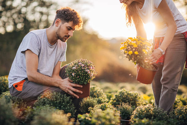 istock Couple of florists at work 1179352247