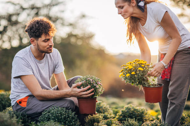 istock Couple of florists at work 1179352270