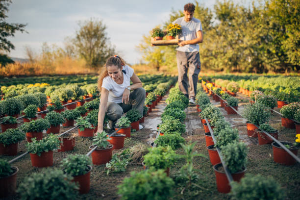 istock Florists working together in garden 1179352723