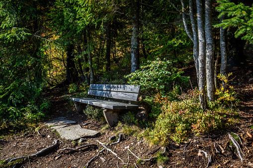 A bench near a cottage at feldberg, germany