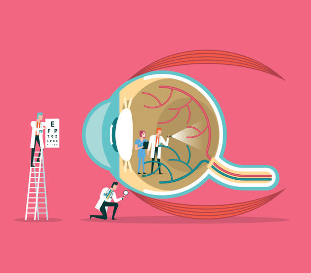 офтальмолог - human eye eyesight optometrist lens stock illustrations