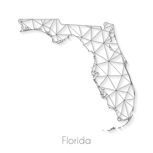Florida map connection - Network mesh on white background Florida map created with a mesh of thin black lines and a light shadow, isolated on a blank background. Conceptual illustration of networks (communication, social, internet, ...). Vector Illustration (EPS10, well layered and grouped). Easy to edit, manipulate, resize or colorize. jacksonville symbol stock illustrations