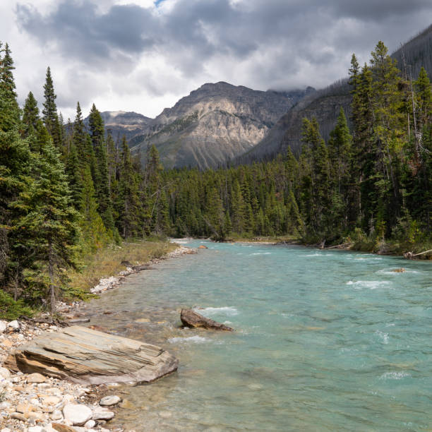 istock Kootenay National Park, British Columbia, Canada 1179356187