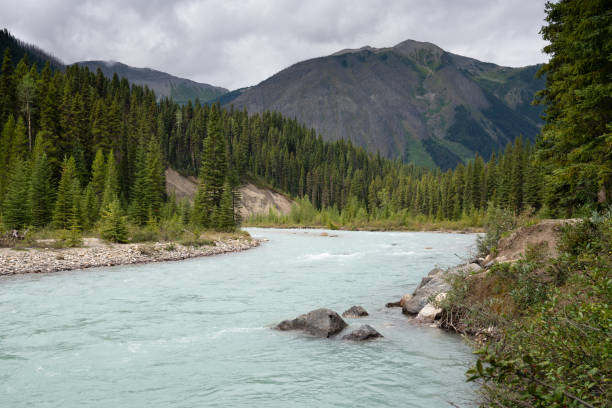 istock Kootenay National Park, British Columbia, Canada 1179356379