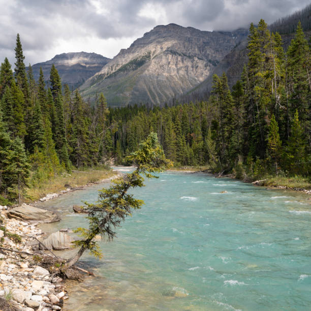 istock Kootenay National Park, British Columbia, Canada 1179356418