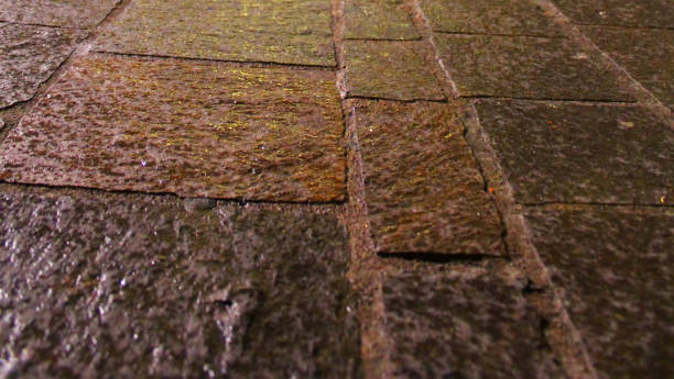 istock Wet paving stone in Valletta in an Autumn evening 1179356610