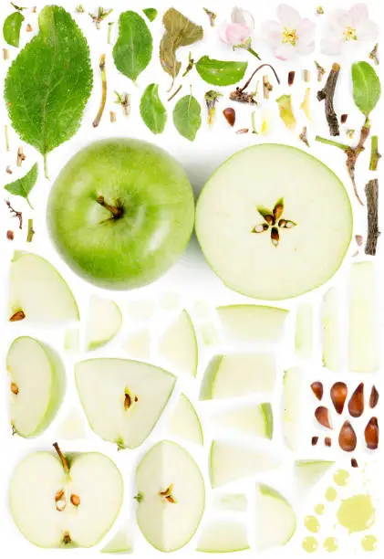 Large collection of apple fruit pieces, slices and leaves isolated on white background. Top view. Seamless abstract pattern.