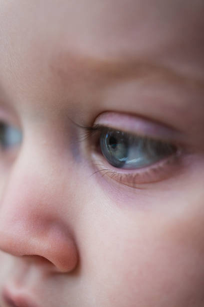 istock Toddler Portrait 1179360795