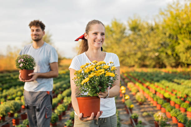 istock Florists working in a garden 1179361917