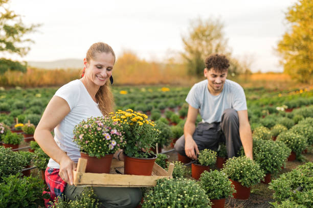 istock Florists in a garden 1179361950