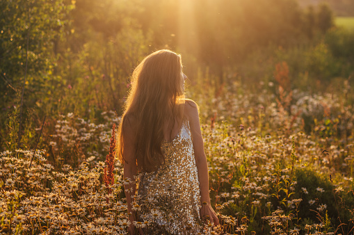 Girl in blinking dress staying among chamomile field in sunset