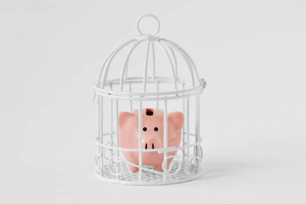 banco piggy fechado em uma gaiola no fundo branco-o conceito das economias obstruiu - enclose - fotografias e filmes do acervo