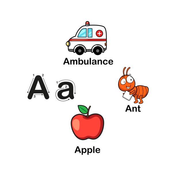 ilustrações de stock, clip art, desenhos animados e ícones de alphabet letter a-ambulance,ant,apple - book sheet education student