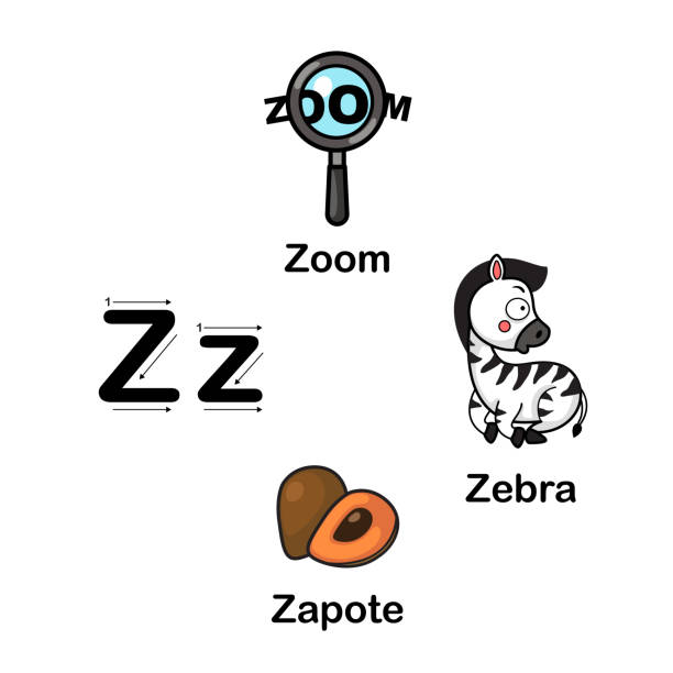 ilustrações de stock, clip art, desenhos animados e ícones de alphabet letter z-zapote,zebra,zoom - book sheet education student