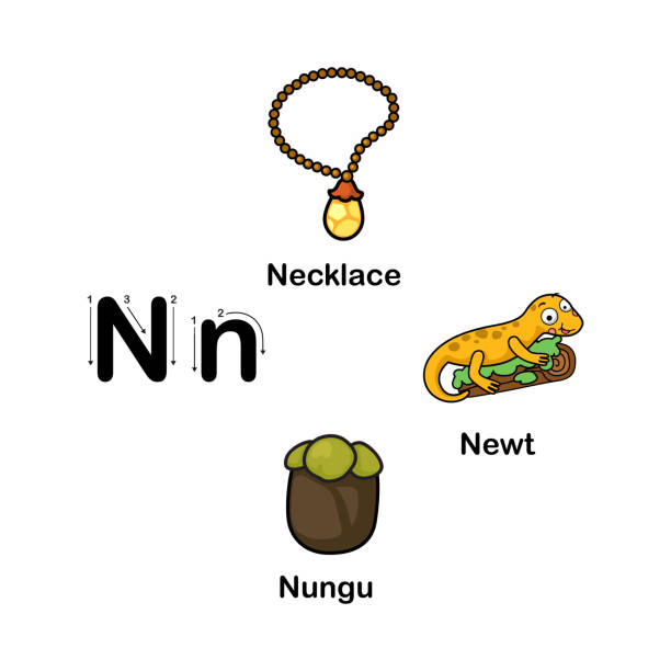 ilustrações de stock, clip art, desenhos animados e ícones de alphabet letter n-necklace,newt,nungu - book sheet education student
