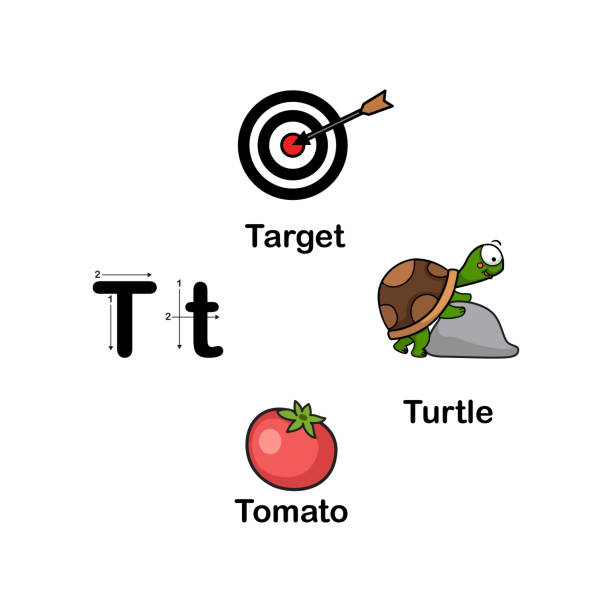 ilustrações de stock, clip art, desenhos animados e ícones de alphabet letter t-target,tomato,turtle - book sheet education student