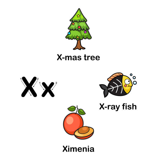 ilustrações de stock, clip art, desenhos animados e ícones de alphabet letter x-x mas tree,ximenia,x ray fish - book sheet education student