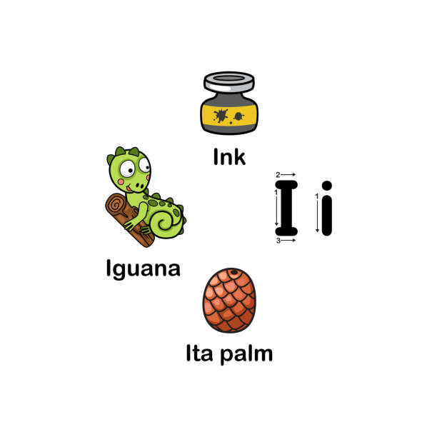 ilustrações de stock, clip art, desenhos animados e ícones de alphabet letter i-iguana,ink,ita palm - book sheet education student