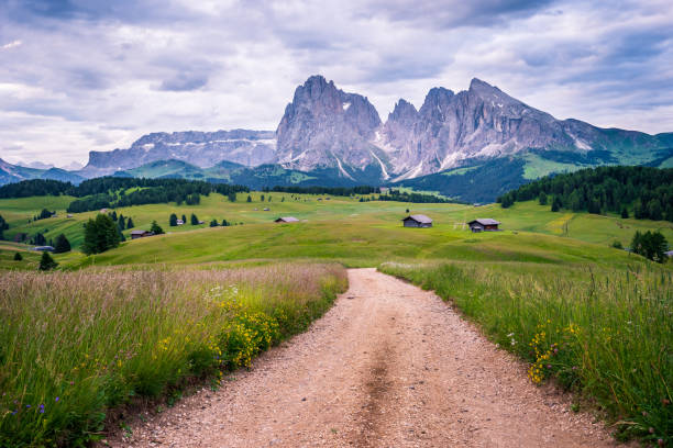 istock Alpe di Siusi in the Dolomites 1179369558