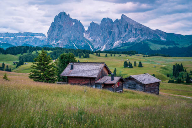 istock Alpe di Siusi in the Dolomites 1179369754