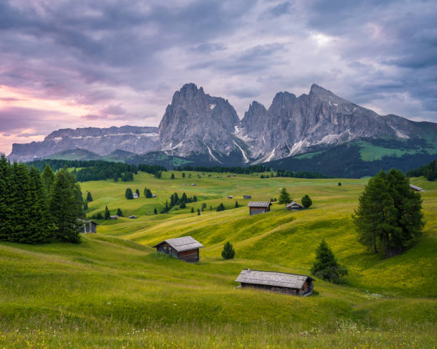 istock Alpe di Siusi in the Dolomites 1179370596