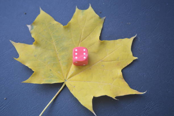 istock Game dice in the composition of different cubes on background 1179371807