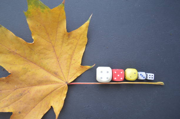 istock Game dice in the composition of different cubes on background 1179372151