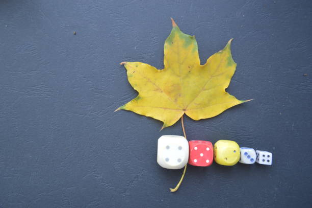 istock Game dice in the composition of different cubes on background 1179372224