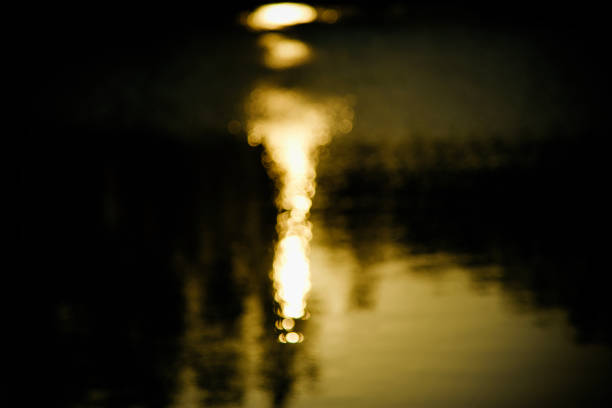 istock Blurry yellowish sunlights reflection in lake water 1179372307