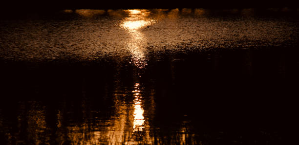 istock Orange sunlight reflections in pond water unique photo 1179372674