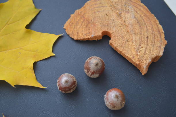 istock Autumn texture of yellow maple leaves on a black background 1179374370