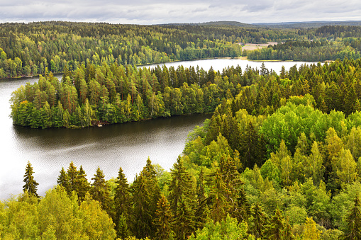 Aulanko forest park, Hameenlinna, Finland. Picturesque view from Aulangonvuori Hill. Autumn landscape