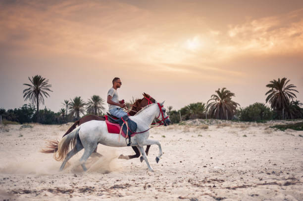 Horse riding on the beach at sunset