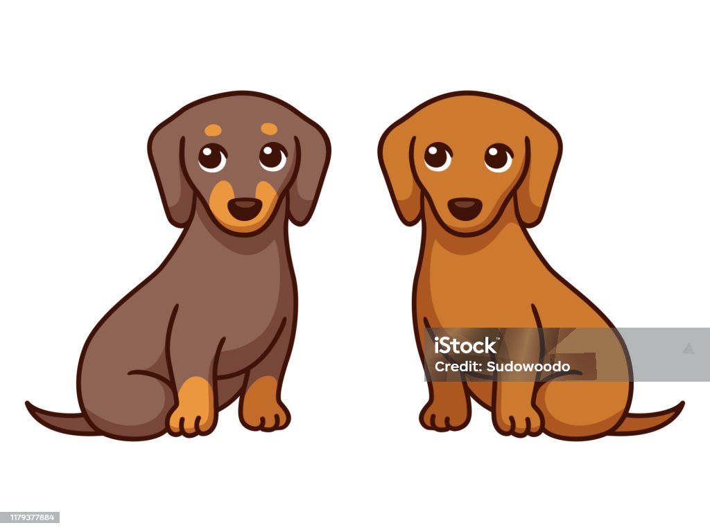 Two Cartoon Dachshunds Stock Illustration - Download Image Now - Dog, Two  Animals, Puppy - iStock