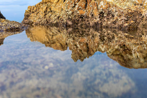 Big Rock and beach front background. For text or design